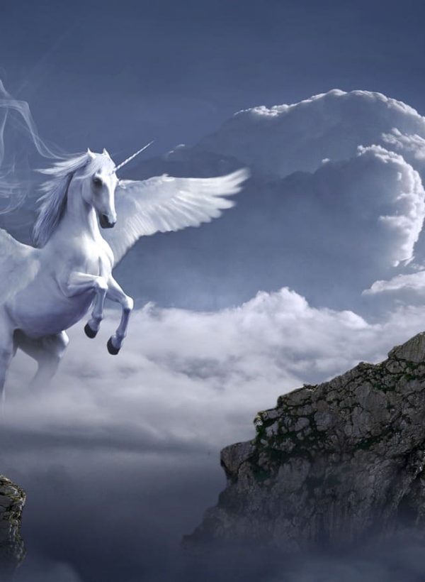 Weißes Einhorn fliegt Himmel